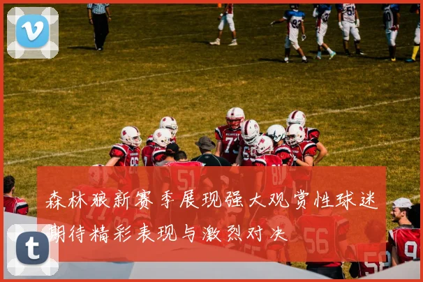 森林狼新赛季展现强大观赏性球迷期待精彩表现与激烈对决