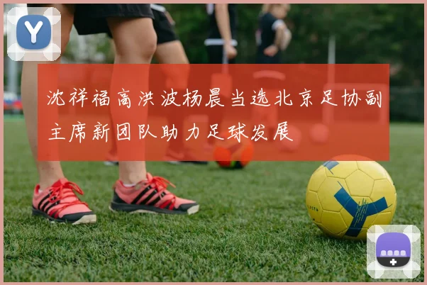沈祥福高洪波杨晨当选北京足协副主席新团队助力足球发展